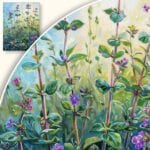 Obraz Kwiaty i rośliny w rozkwicie